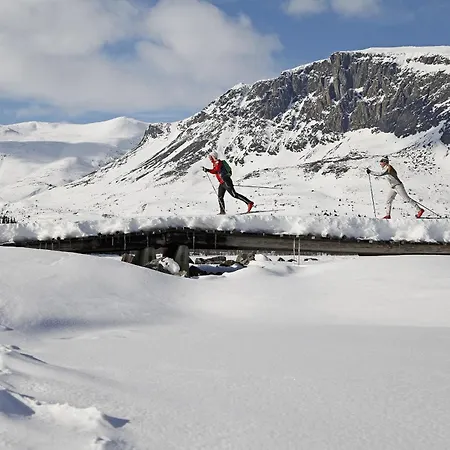 Inn-ski Out Apartment Hemsedal